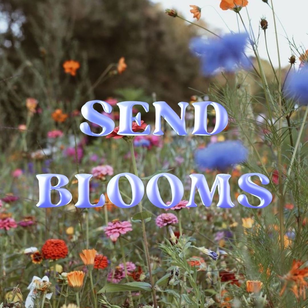 Celebrate Beauty and Empowerment: Join the Send Blooms Campaign on International Women's Day! - Cliodhna Doherty Art