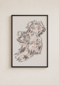 Home Beige Ireland Map Fine Art Print